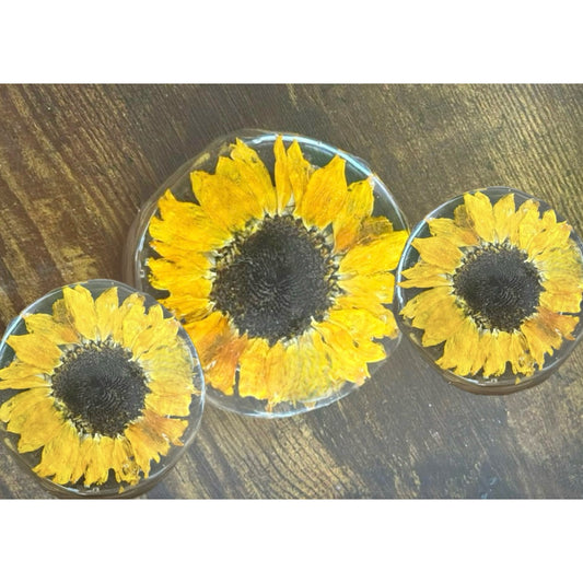 Coasters